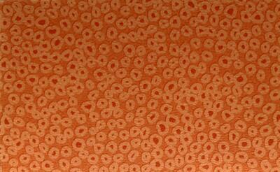 Sarlon Sparkling oranžové, 9,8 m x 2 m